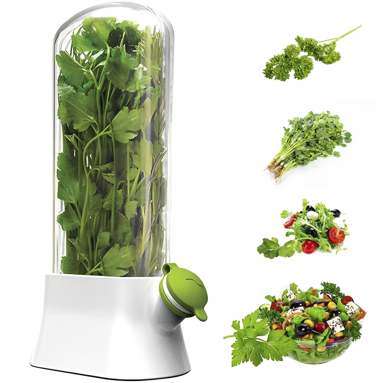 4/1PC Herb Freshkeeping Box Fr – Herb Keeper Bottle Bewertung und Preis