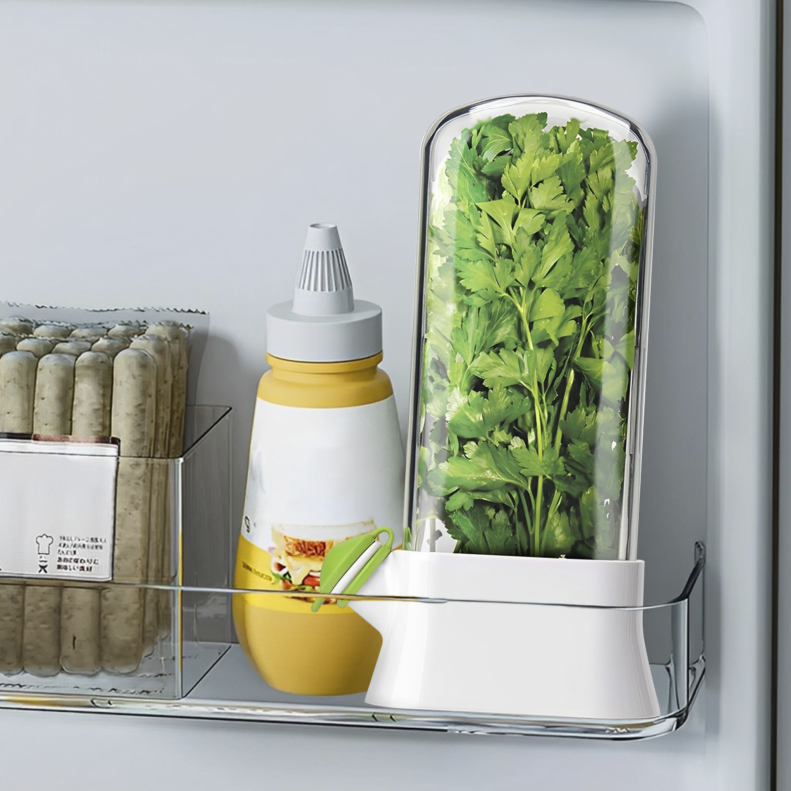 4/1PC Herb Freshkeeping Box Fr – Herb Keeper Bottle Bewertung und Preis