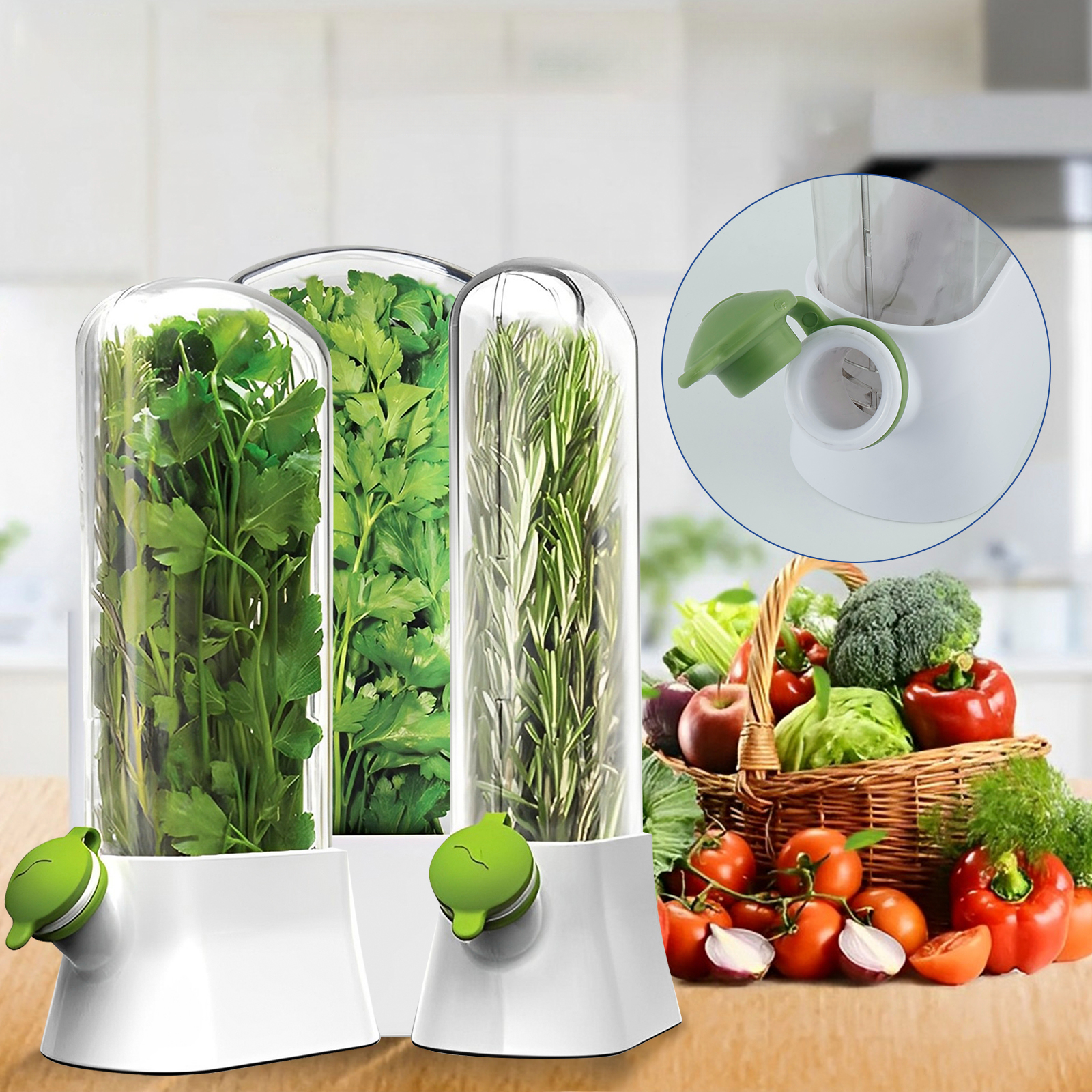 4/1PC Herb Freshkeeping Box Fr – Herb Keeper Bottle Bewertung und Preis