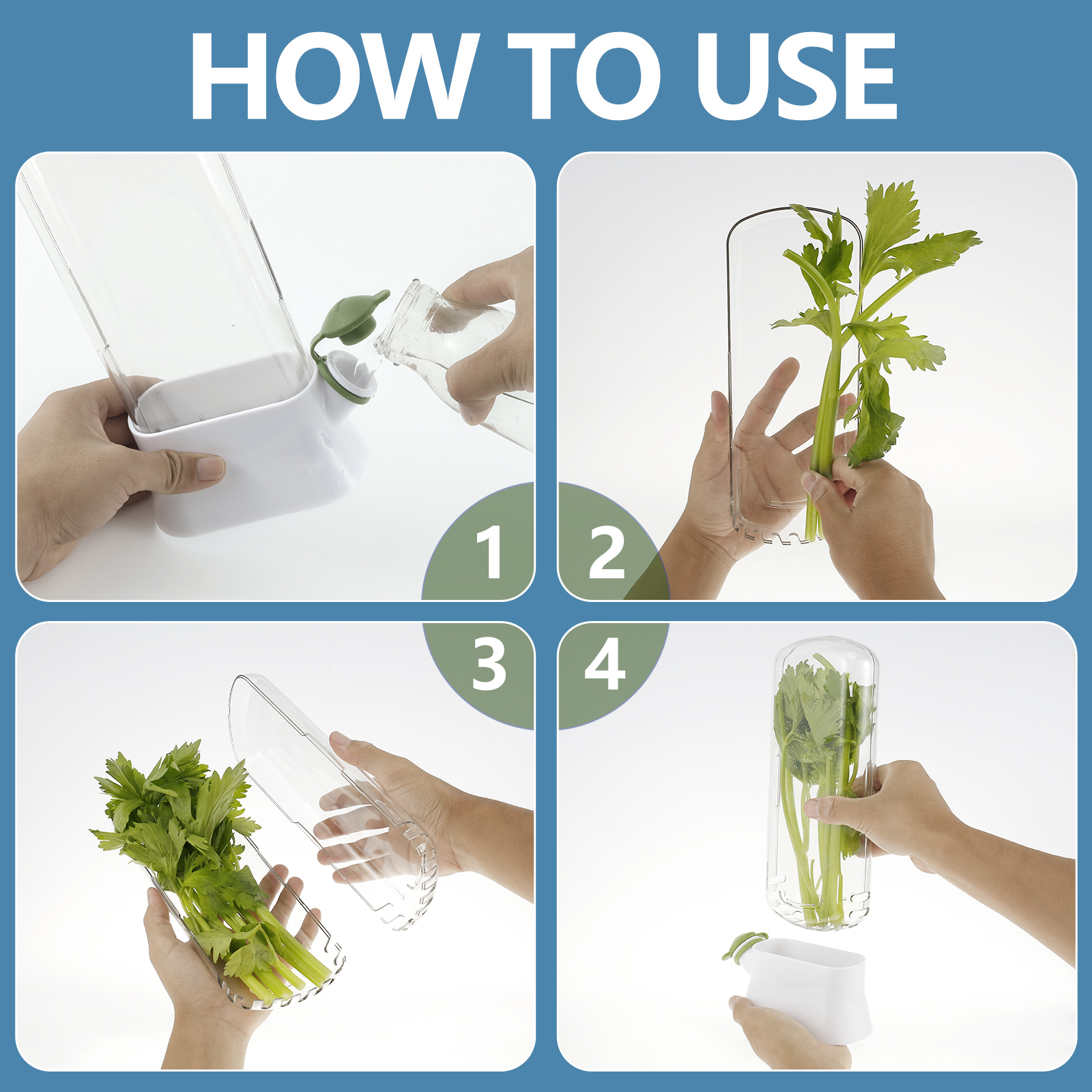 4/1PC Herb Freshkeeping Box Fr – Herb Keeper Bottle Bewertung und Preis