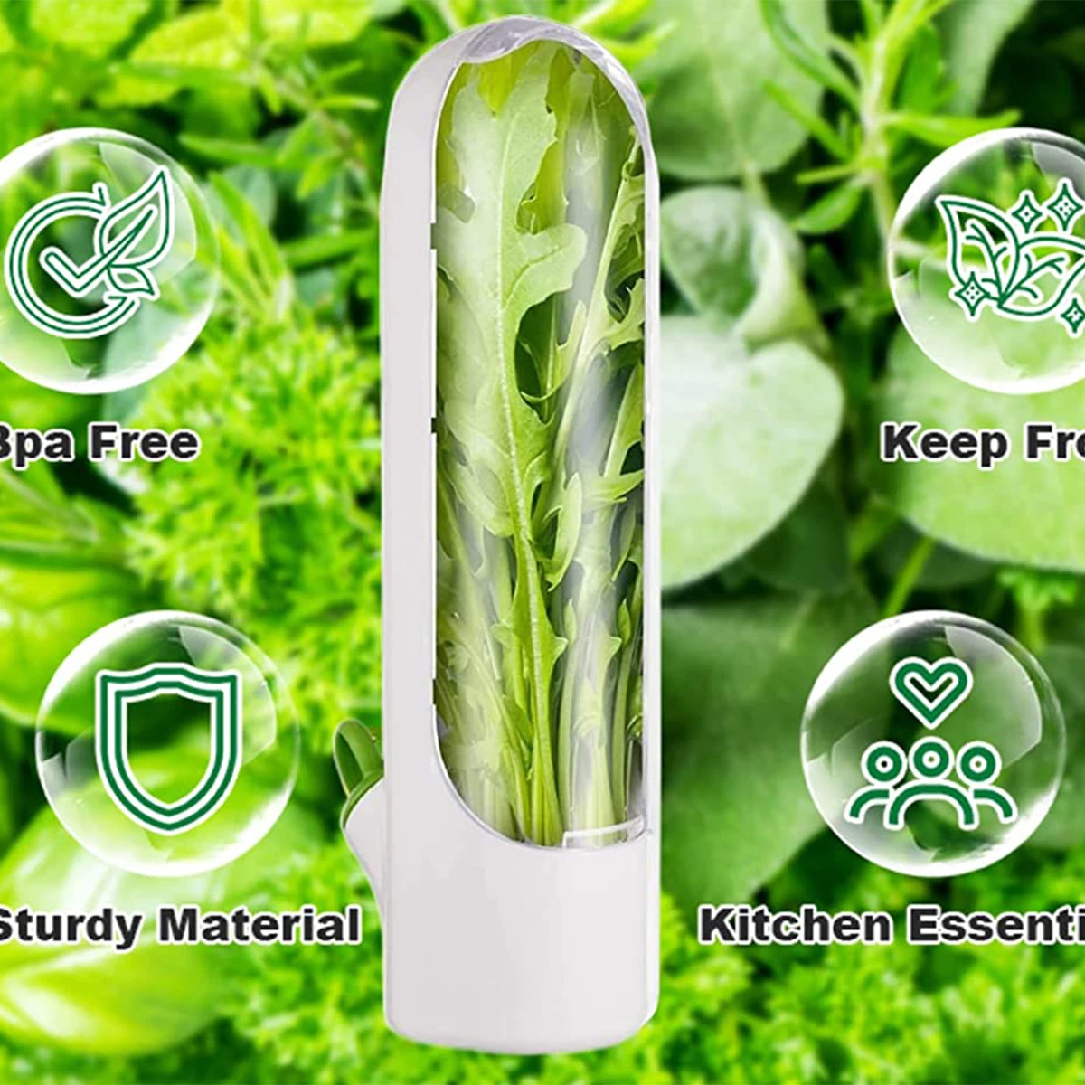 1/2/3PCS Herb Saver Storage Co – Herb Keeper Bottle Bewertung und Preis