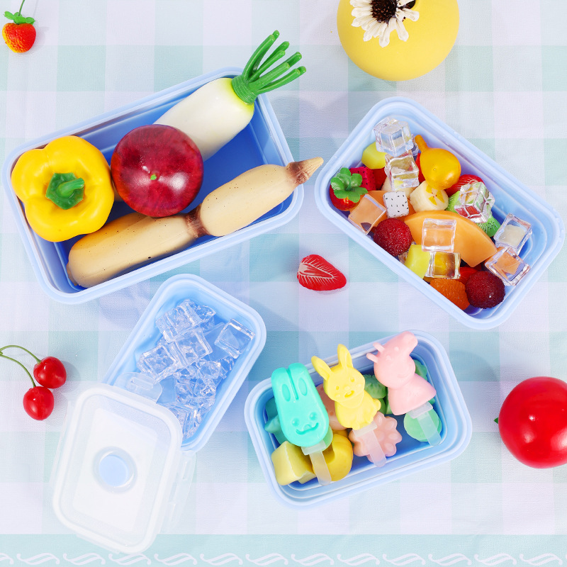4PS Collapsible Food Storage C – Meal Prep Oatmeal Bewertung und Preis