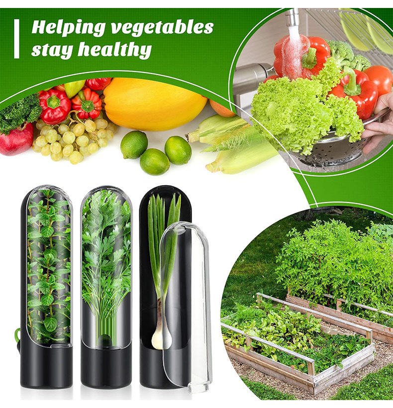 Vegetables Fresh Preservation  – Herb Keeper Bottle Bewertung und Preis