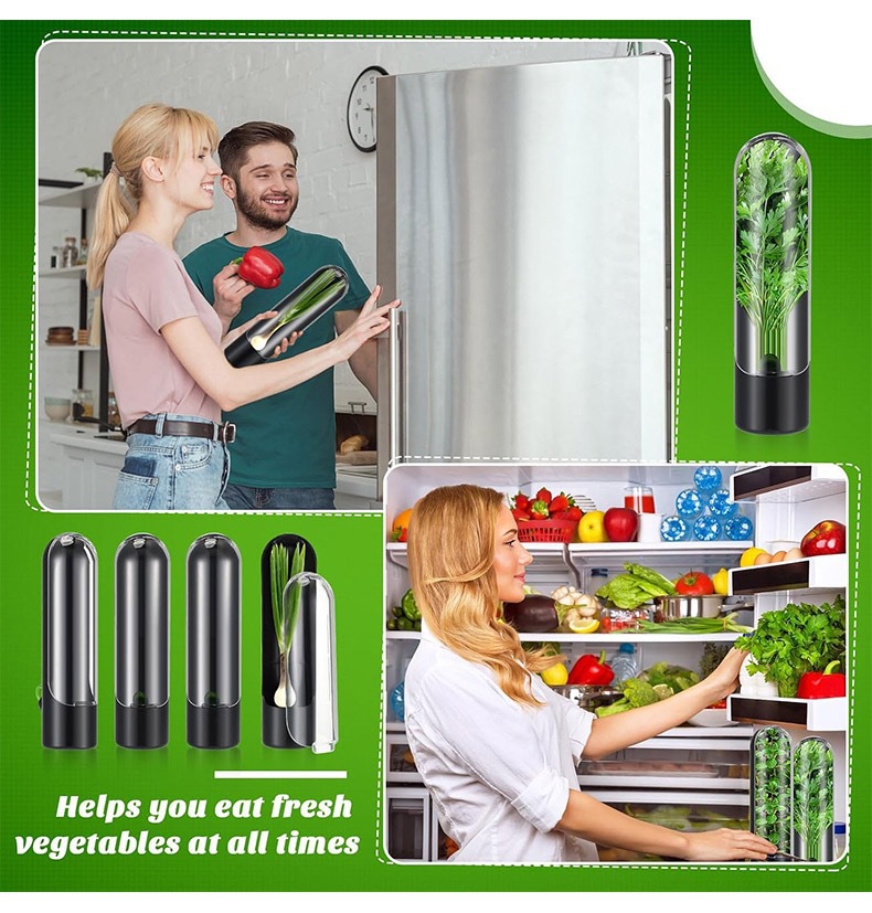 Vegetables Fresh Preservation  – Herb Keeper Bottle Bewertung und Preis